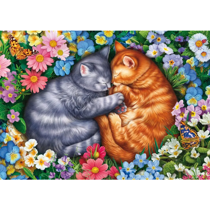 Schmidt Spiele - Puzzle Sommeil aux pattes de velours 1000 pièces - Paysage détaillé - À partir de 12 ans Schmidt Spiele - Puzzle Sommeil aux pattes de velours 1000 pièces - Paysage détaillé - À partir de 12 ans