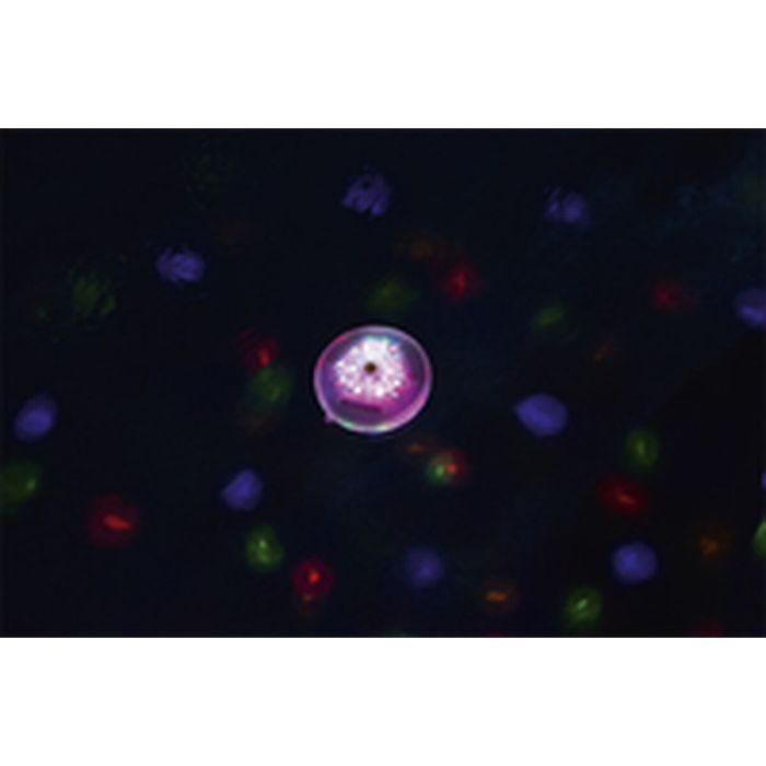 Lumière Solaire Flottante pour Piscine Bestway Ø 14 cm (1 Unité) 12 Lumière Solaire Flottante pour Piscine Bestway Ø 14 cm (1 Unité) 12