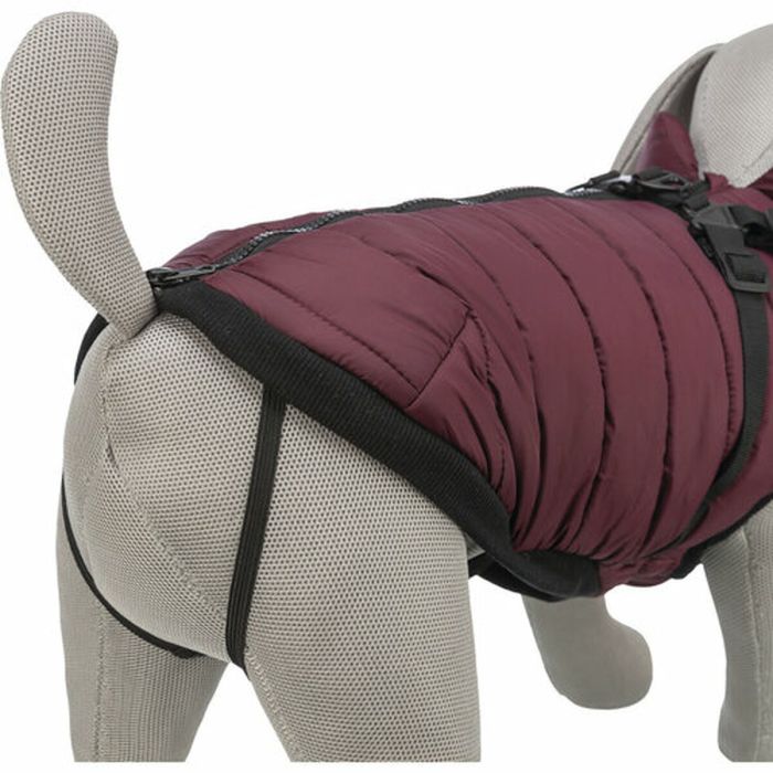 Manteau pour Chien Trixie Pirou Bordeaux M 1