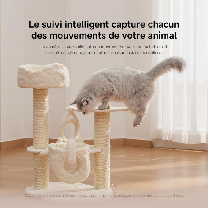 Camescope de surveillance Xiaomi BHR08NBGL 1080 p 14 Camescope de surveillance Xiaomi BHR08NBGL 1080 p 14