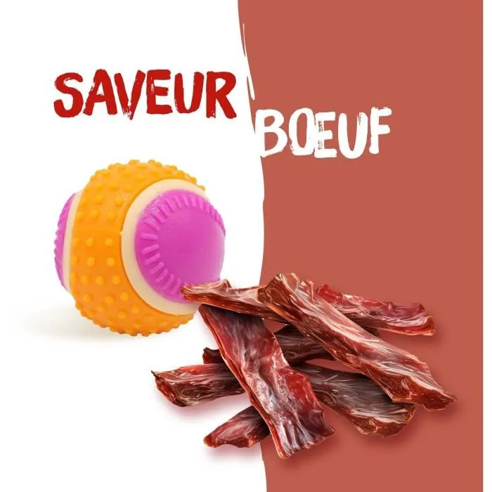AIMÉ Jouet pour chien AGBT901635 5 en 1 saveur viande 5