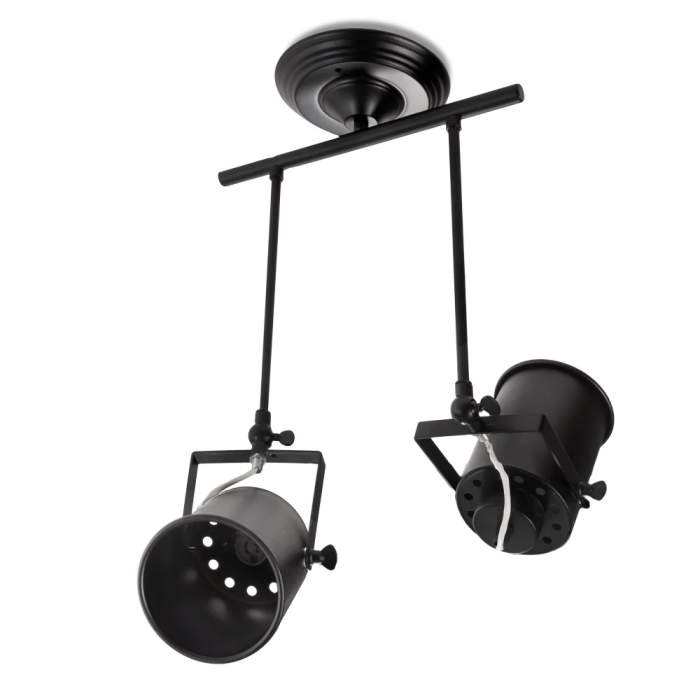 Spot de plafond orientable Daleyza HO-APL-GU10-013 1