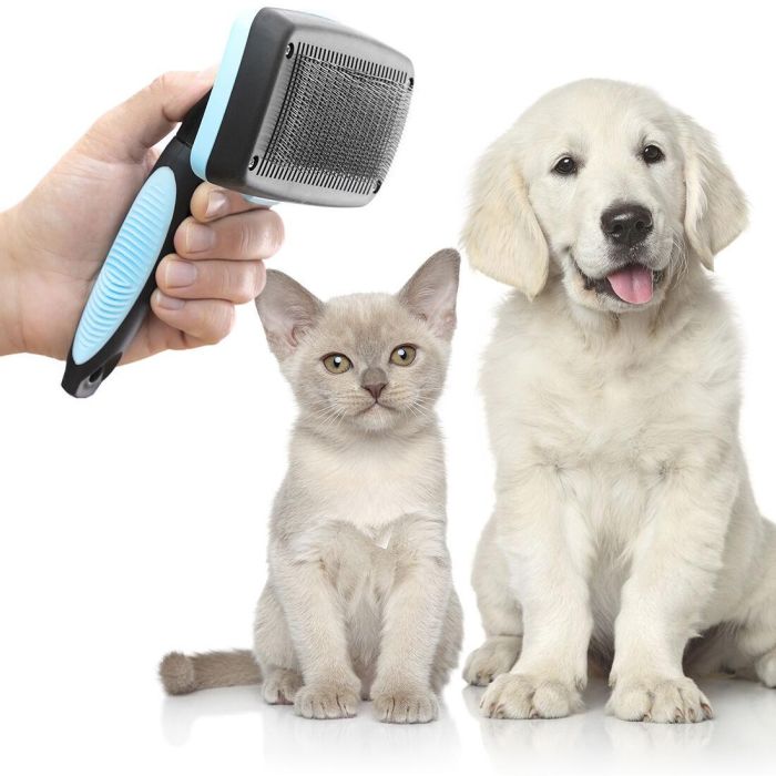 Brosse pour Animaux de Compagnie avec Dents Rétractables Groombot InnovaGoods