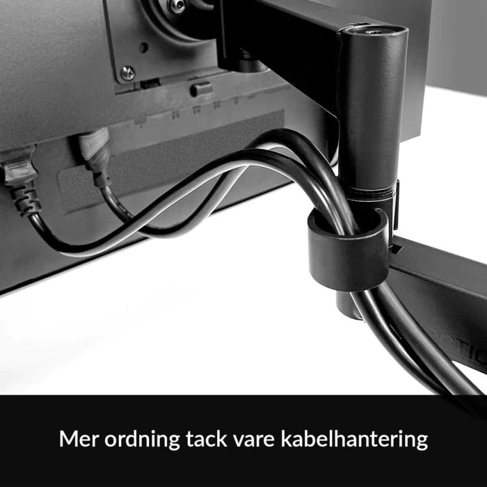 Support de table d'écran Arctic AEMNT00061A 43" 40" 2 Support de table d'écran Arctic AEMNT00061A 43" 40" 2