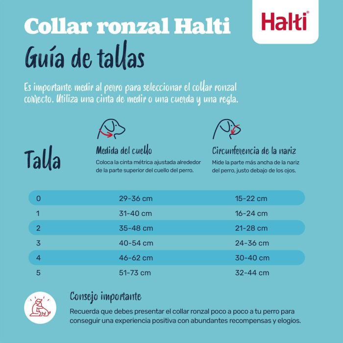 Muselière Company of Animals FOREST Vert Taille 1 11