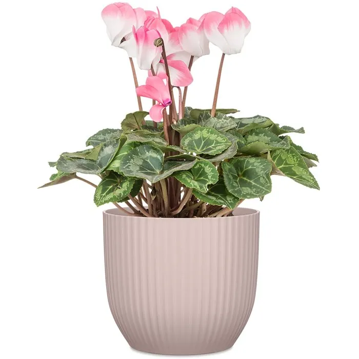 Deroma 231 - Pot de fleurs rond, 27 cm de diametre, 10 litres, couleur rose - Design elegant et contemporain pour interieur et exterieur
