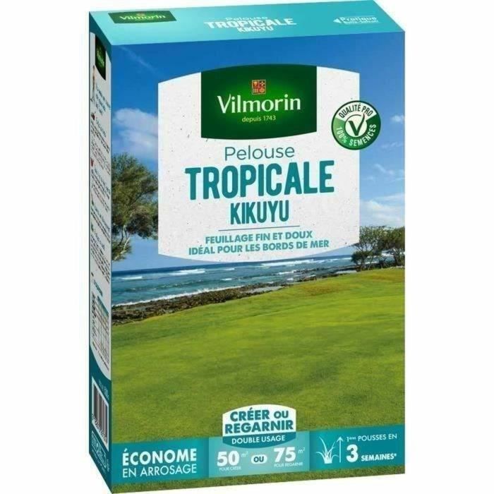 Vilmorin Kikuyu Graines d'herbes tropicales 500 g VIL3182670261374