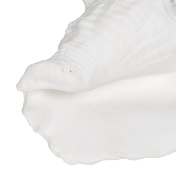 Figurine Décorative Blanc Conque 21 x 19 x 13 cm 3 Figurine Décorative Blanc Conque 21 x 19 x 13 cm 3