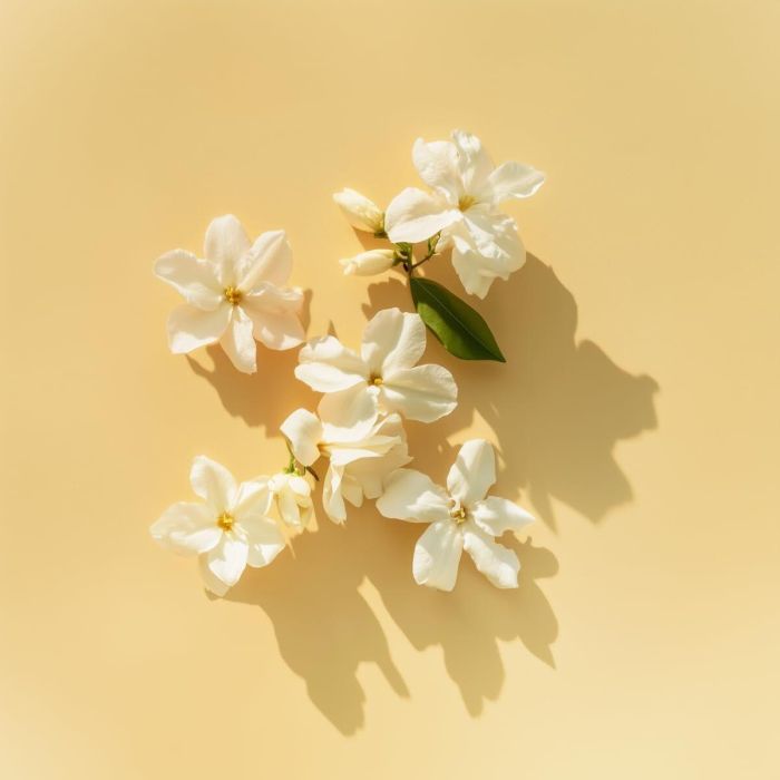 Parfum Femme Elie Saab LE PARFUM LUMIERE EDP 90 ml 2