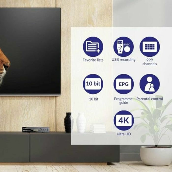 Récepteur TNT STRONG SRT 8250 3