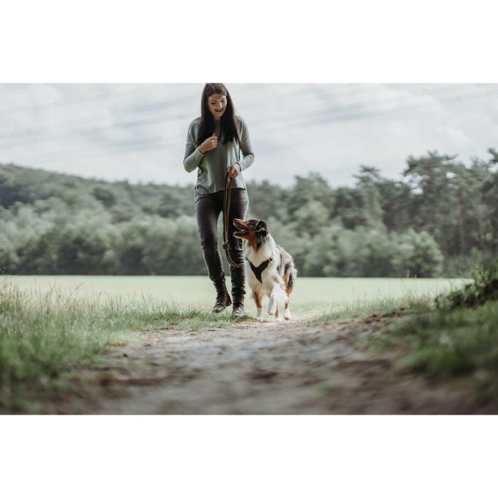 Laisse pour Chien Hunter Marron 2 m Réglable Cuir 1