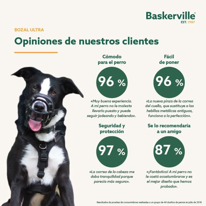 Muselière Company of Animals Noir 4 1