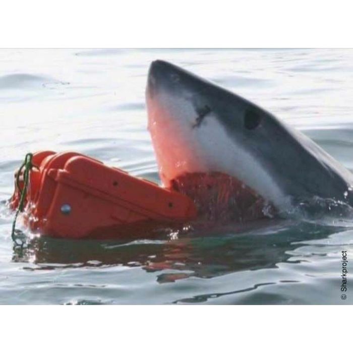 Mallette à Outils GT Line EXPLORER 7630 86 x 56 x 33 cm Métal polypropylène 59 L 1