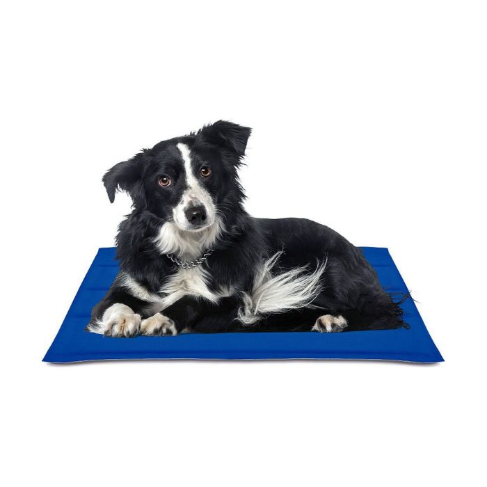 Tapis pour chien Nayeco Bleu Gel réfrigérant (50 x 90 cm) 0 Tapis pour chien Nayeco Bleu Gel réfrigérant (50 x 90 cm) 0