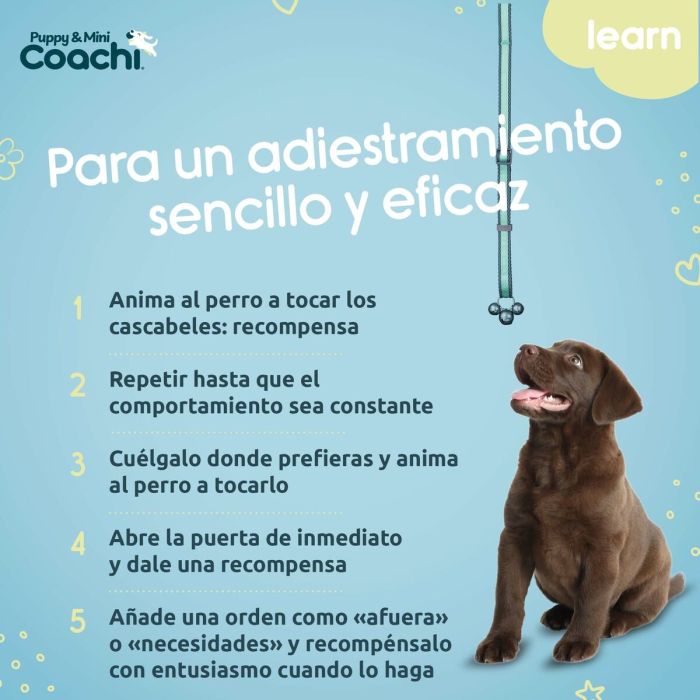 Harnais pour Chien Coachi 1
