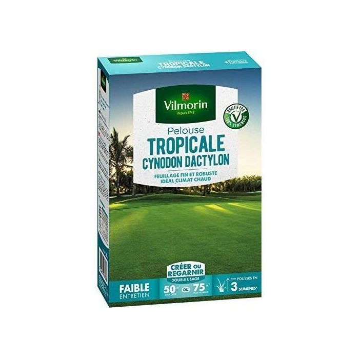 VILMORIN Semences de gazon bord de mer Les Tropicales Cynodon Dactylon - 500 g 1