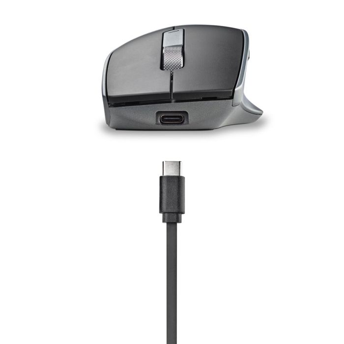 Souris NGS LUSH-RB 1 Souris NGS LUSH-RB 1