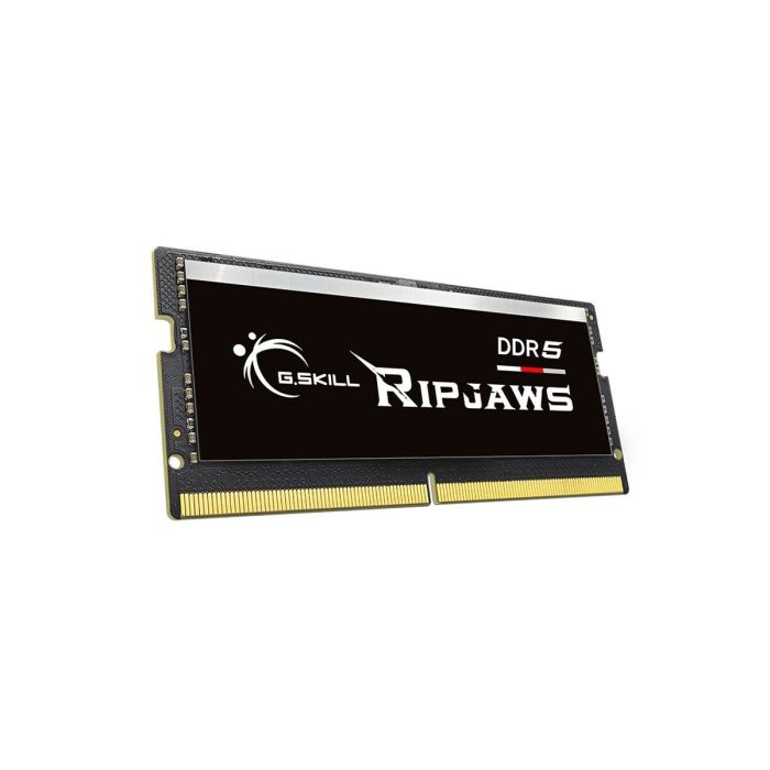 Mémoire RAM GSKILL F5-4800S4039A16GX1-RS DDR5 16 GB CL40 2