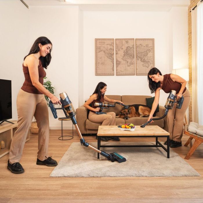 Aspirateur balai Cecotec RX70 AquaPet Flex 800 W 2