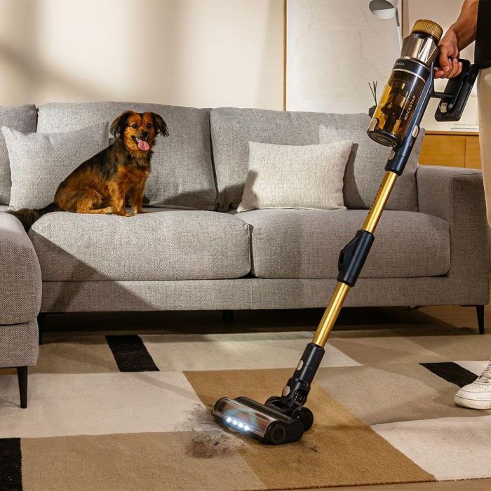 Aspirateur balai Cecotec Rockstar RS90 Pet Flex 600 W 6 Aspirateur balai Cecotec Rockstar RS90 Pet Flex 600 W 6