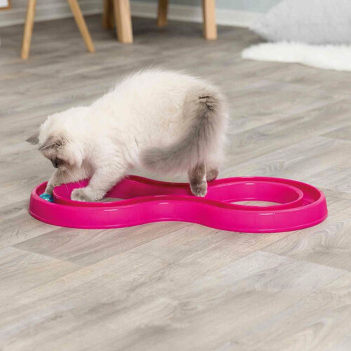 Jouet pour chats Trixie Rose Plastique 65 × 31 cm 10 Jouet pour chats Trixie Rose Plastique 65 × 31 cm 10