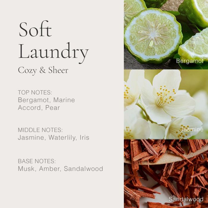 Parfum Unisexe Clean 6