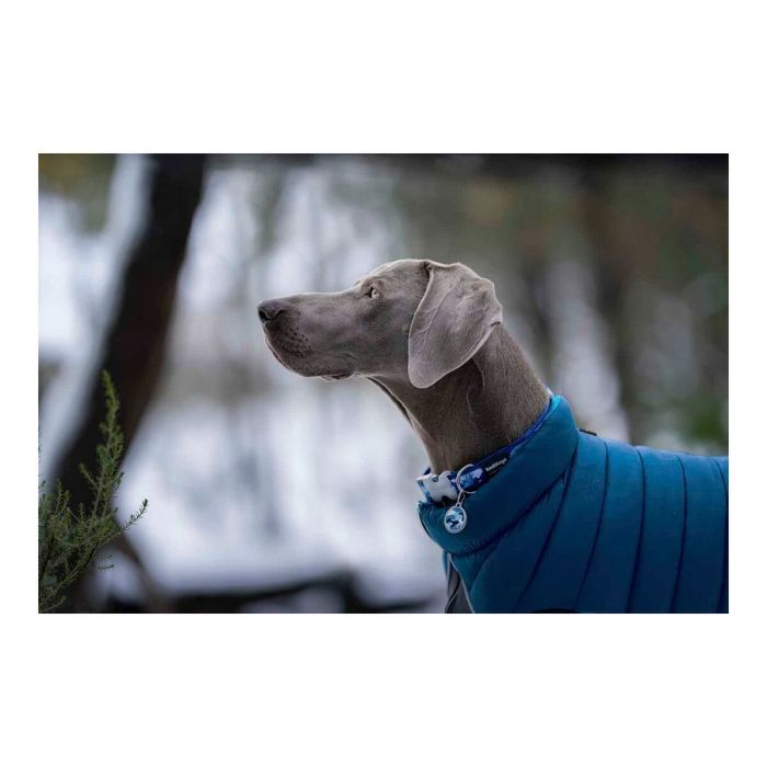 Manteau pour Chien Red Dingo Puffer Turquoise 25 cm 2