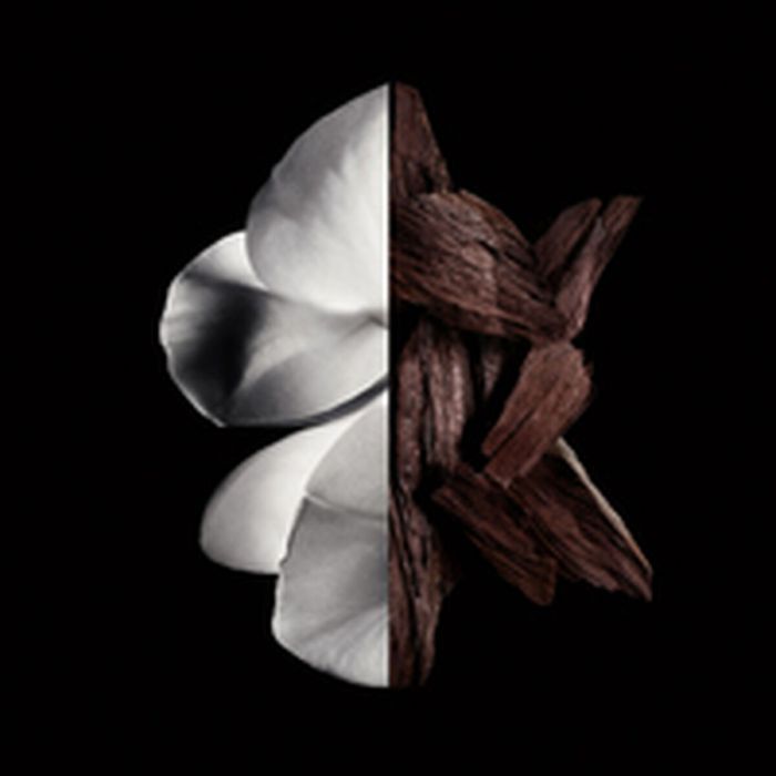 Parfum Femme Givenchy Gentleman Boisée 200 ml 4