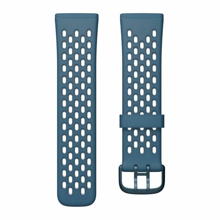 Montre intelligente Fitbit Bleu 0 Montre intelligente Fitbit Bleu 0