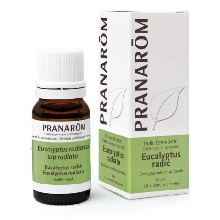 Huile Essentielle Pranarôm Eucalyptus 10 ml 0 Huile Essentielle Pranarôm Eucalyptus 10 ml 0