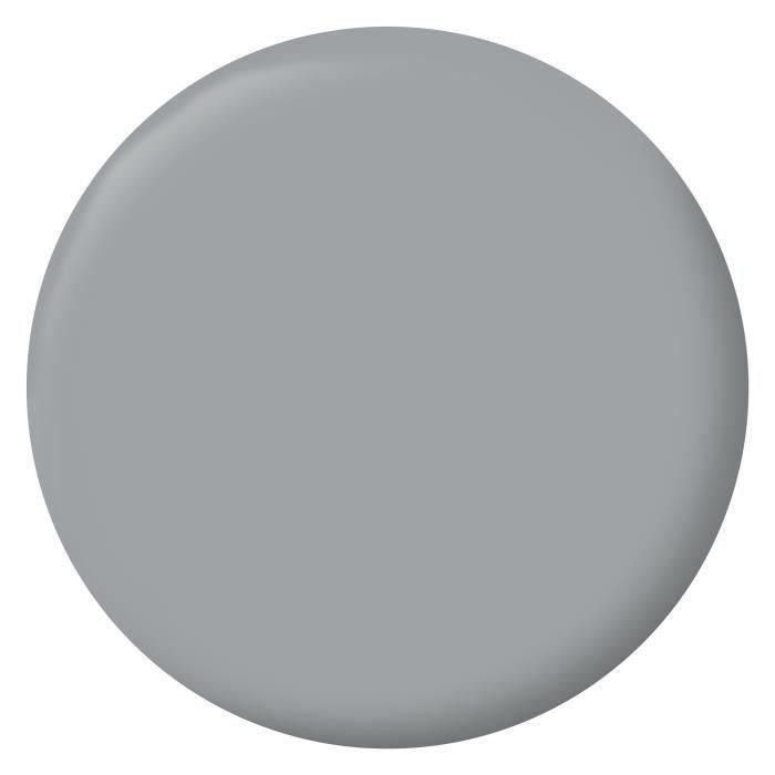 RIPOLIN Peinture Couleur Velours pour Murs, Boiseries Radiateurs - Gris galet 1 RIPOLIN Peinture Couleur Velours pour Murs, Boiseries Radiateurs - Gris galet 1