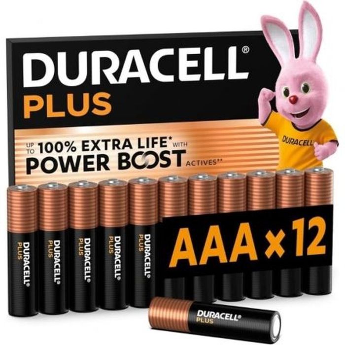 Piles Rechargeables DURACELL DPBLR3B12 1,5 V AAA