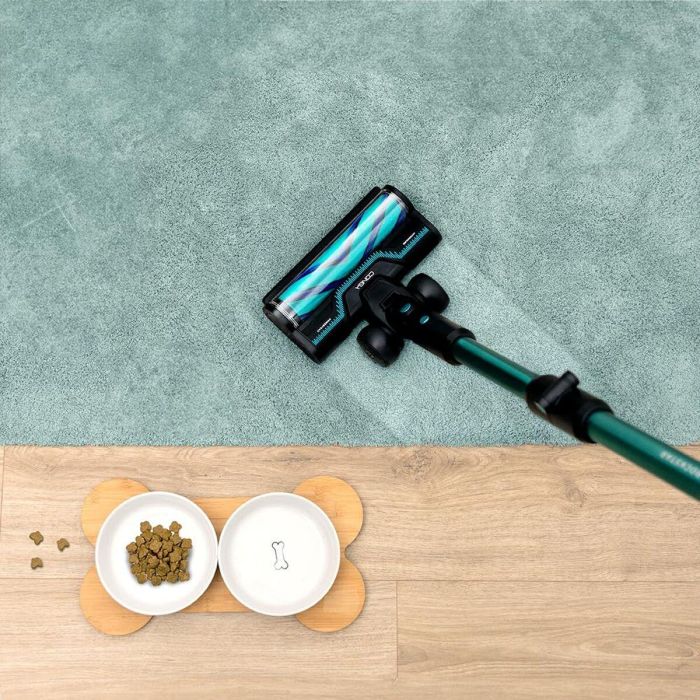 Aspirateur balai Cecotec RX50 Pet Flex 750 W 5