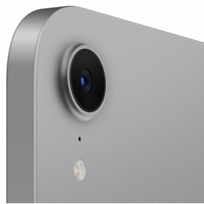 Tablette Apple MXNA3TY/A Gris 256 GB 7