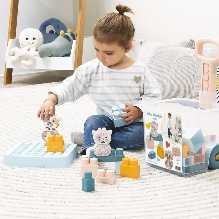 Ecoiffier Rolly Bricks BB Abrick 40 Pièces à partir de 12 mois 2