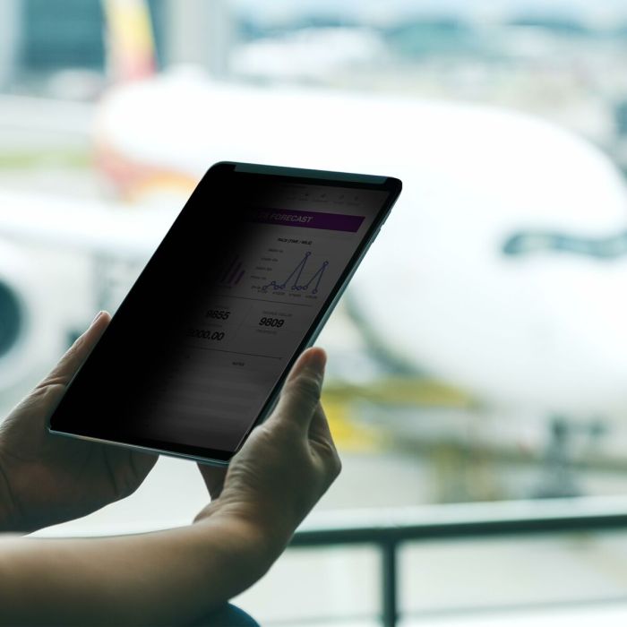 Câble HDMI Startech 129IP-PRIVACY-SCREEN Noir 2