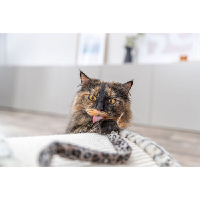 Grattoir pour Chats Trixie Leo Crème 25 cm 1