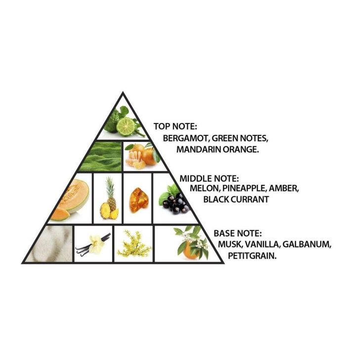 Parfum Unisexe Al Haramain AMBER OUD 100 ml Parfum Unisexe Al Haramain AMBER OUD 100 ml