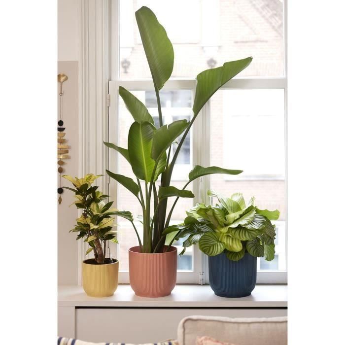 ELHO Pot de fleurs Rond VIBES - Ø25 x H23cm - Plastique - Rose poudré 5