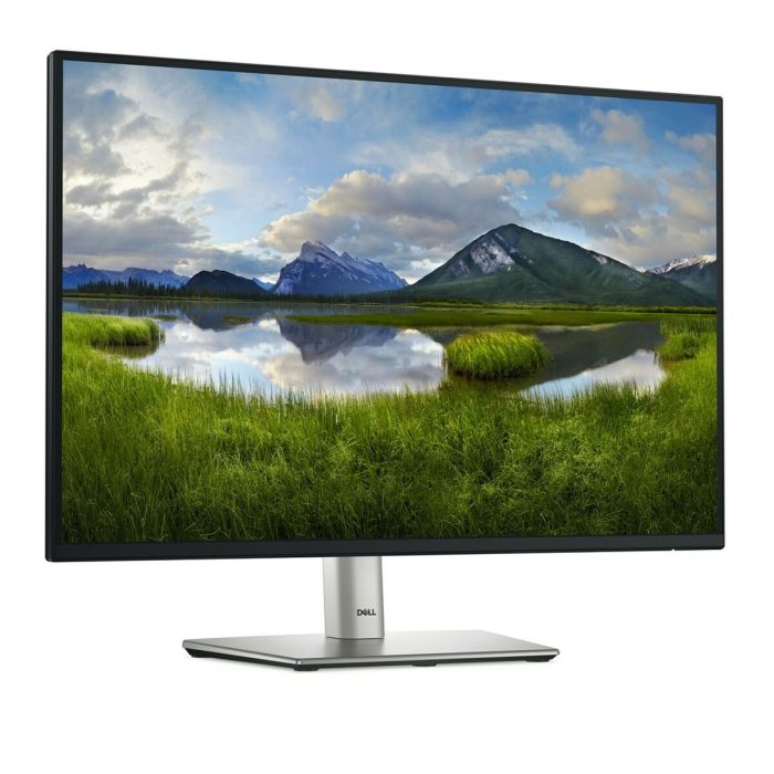 Écran Dell P2425 WUXGA 24,1" 100 Hz 10