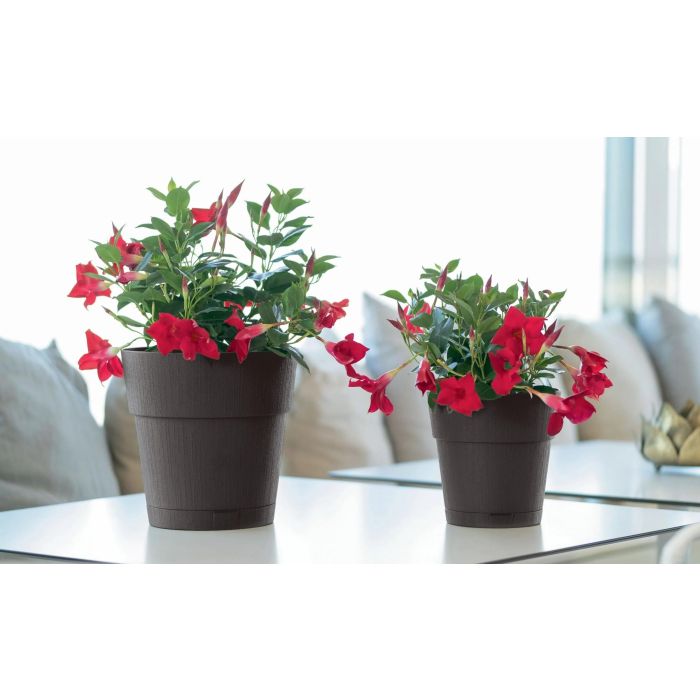 Stefanplast Pot de fleurs ETHICA avec réserve d'eau - 2 litres - 40 x H 39 cm - Vert olive - Jardinage et décoration