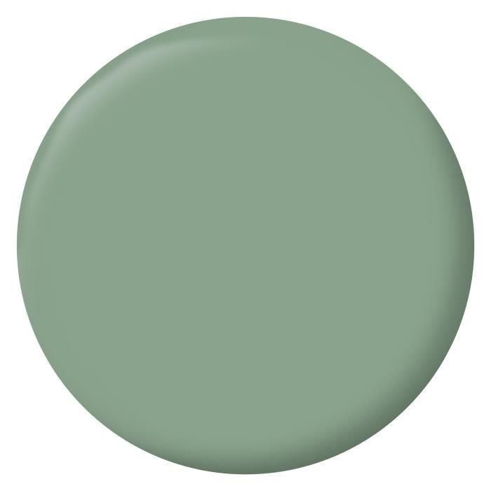 Ripolin Peinture Intérieure Acrylique Lessivable Haute Opacité - Vert Simsun - 2,5L - Rendement 25 m² - Pour Murs, Bois et Radiateurs Ripolin Peinture Intérieure Acrylique Lessivable Haute Opacité - Vert Simsun - 2,5L - Rendement 25 m² - Pour Murs, Bois et Radiateurs