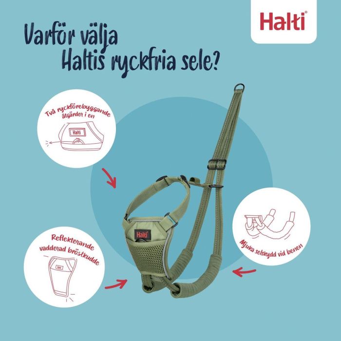 Harnais pour Chien Company of Animals FOREST Vert 12 10 Harnais pour Chien Company of Animals FOREST Vert 12 10