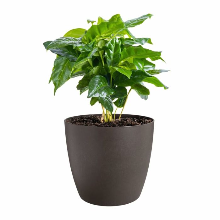 Set de pots Elho Plastique Rond 3 Pièces 11