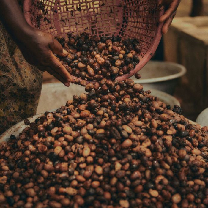 Lait nettoyant L'Occitane En Provence Karite 200 ml 2 Lait nettoyant L'Occitane En Provence Karite 200 ml 2