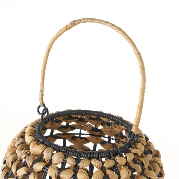 Lampe de bureau Noir Métal Jacinthe d'eau 40 W 220-240 V 21 x 21 x 30 cm 3