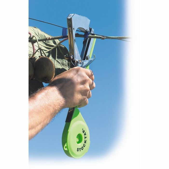 Outil Stocker Vert Liens 36 x 36 cm 1