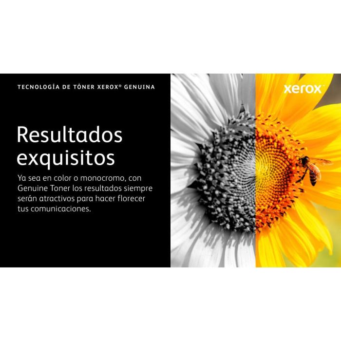 Toner original Xerox 006R04624 Noir