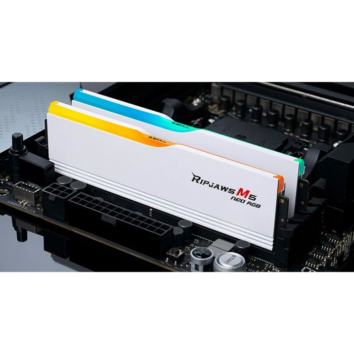 Mémoire RAM GSKILL F5-6000J3636F32GX2-RM5NRW 64 GB DDR5 cl28 6000 MHz 3