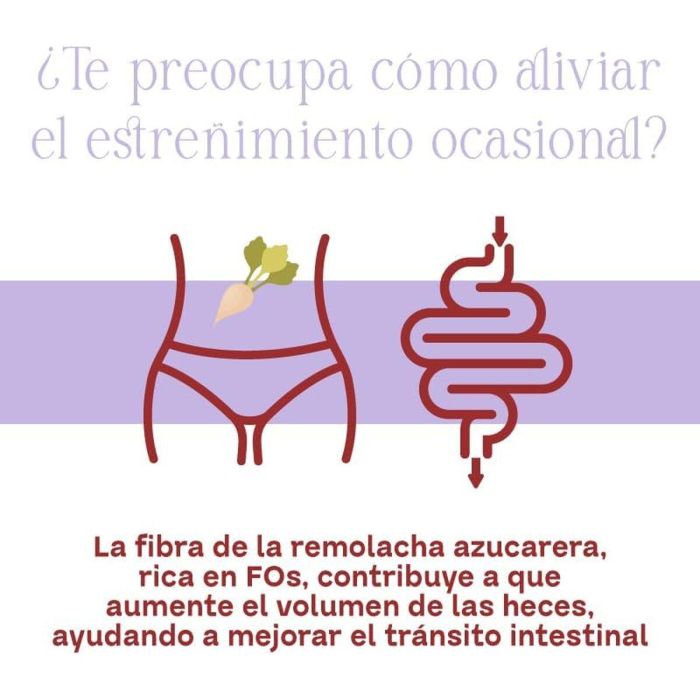 Complément digestif Elifexir SALUD